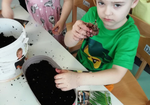 Chłopiec przygotowuje cebulkę do sadzenia